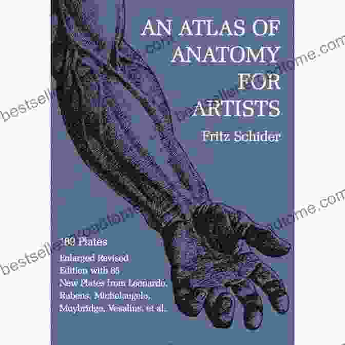 A Composite Illustration From The Atlas Of Imaging Anatomy Showcasing Various Anatomical Systems Atlas Of Imaging Anatomy Apurba S Sastry