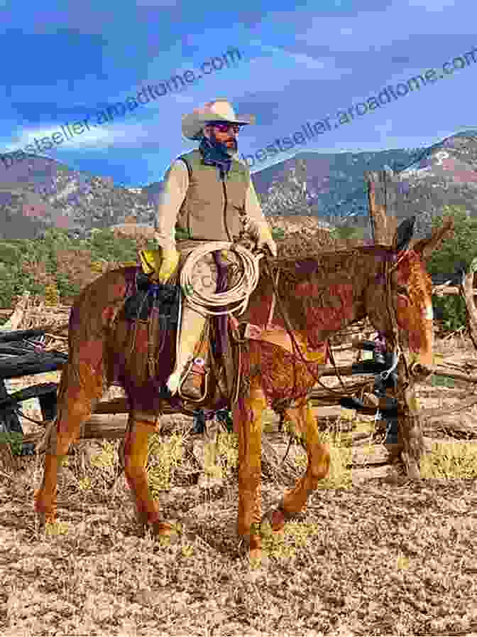 A Cowboy Riding A Horse In Magdalena, New Mexico Magdalena: Photos By David Miller Of Maggie Miller