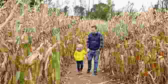 A Family Navigating A Corn Maze Let S Have A Ball This Fall Volume 1 : 3 Creative Stories