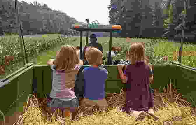 A Family On A Hayride Let S Have A Ball This Fall Volume 1 : 3 Creative Stories