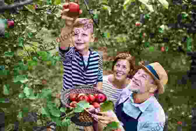 A Family Picking Apples In An Orchard Let S Have A Ball This Fall Volume 1 : 3 Creative Stories