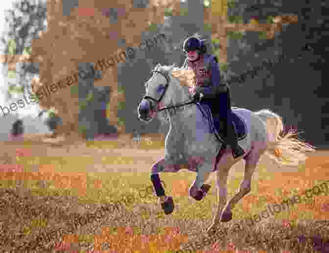 A Handsome Thoroughbred Horse Galloping Through A Field Beyond The Track: Retraining The Thoroughbred From Racehorse To Riding Horse