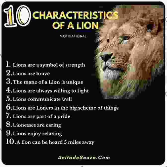 A Majestic Lion Representing The Leo Man's Confidence And Leadership Qualities The Big Of Answers About The Leo Man : Learn How To Read His Mixed Signals