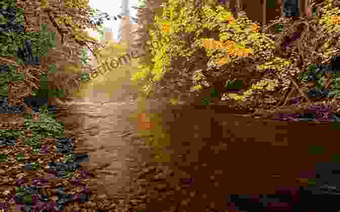 A Serene Landscape With A Flowing River, Representing The Inner Peace That Comes From A Connection With God Fruits Of The Spirit Love It Live It 3 Creative Stories : Education Edition For Parents And Teachers (Welcome To The World Of J Ellington 10)