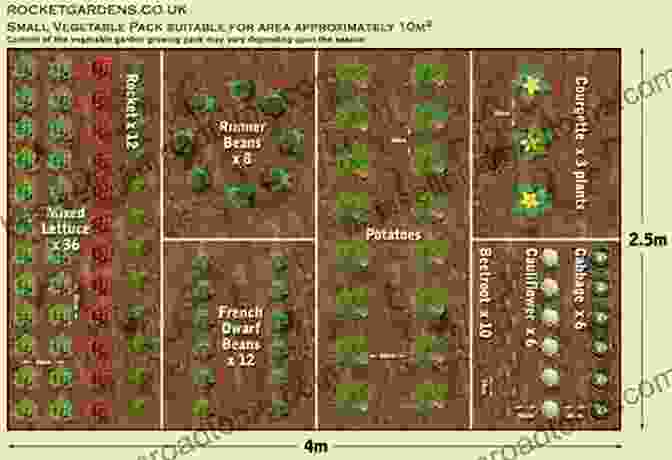 A Sketch Of A Garden Plan With Different Plant Zones 50 THINGS TO KNOW ABOUT LANDSCAPING: ADD LIFE TO YOUR HOME AND GARDEN (50 Things To Know Home Garden)