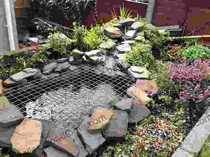 A Small Pond Surrounded By Plants And A Stone Path 50 THINGS TO KNOW ABOUT LANDSCAPING: ADD LIFE TO YOUR HOME AND GARDEN (50 Things To Know Home Garden)