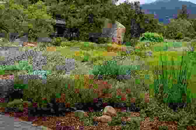 A Sustainable Landscape With Drought Tolerant Plants, Rain Barrels, And Solar Panels, Promoting Environmental Responsibility Wild By Design: Strategies For Creating Life Enhancing Landscapes