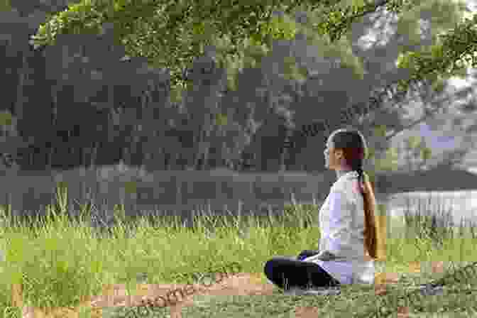 A Taoist Practitioner Engaging In Meditation To Attain Inner Serenity A Journey To Taoism: Tips For Beginners To Understand The Taoist Belief System: Taoism For Beginners