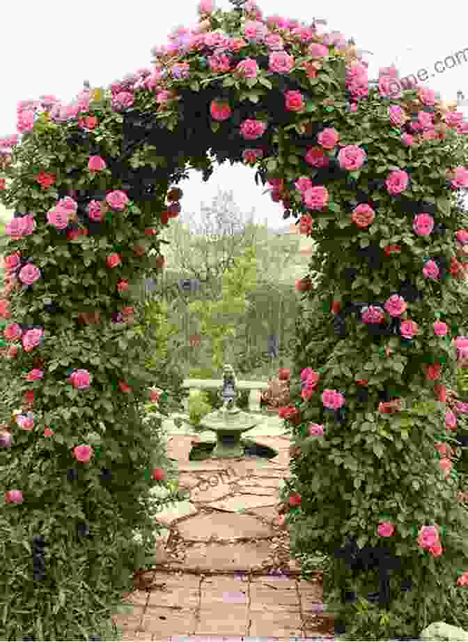 A Trellis Covered In Climbing Roses 50 THINGS TO KNOW ABOUT LANDSCAPING: ADD LIFE TO YOUR HOME AND GARDEN (50 Things To Know Home Garden)