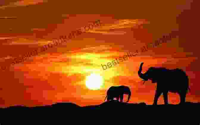 An Elephant Herd Silhouettes Against A Vibrant Sunset, Their Trunks Reaching Up Towards The Golden Sky The Elephants In The Land Of Enchantment (An Elephant Family Adventure 3)