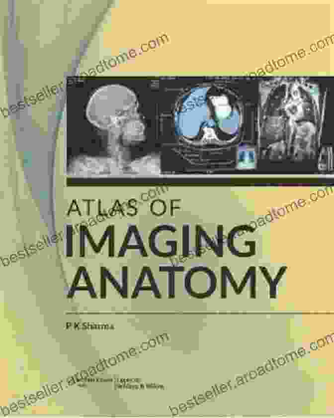 An Illustration From The Atlas Of Imaging Anatomy Highlighting The Clinical Relevance Of Anatomical Knowledge Atlas Of Imaging Anatomy Apurba S Sastry