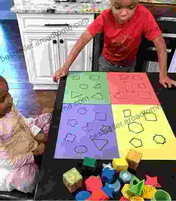 Child Independently Working On A Shape Sorting Activity The Montessori Method: My First Of Shapes