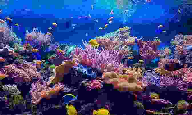 Children Playing In The Ocean, Surrounded By Colorful Fish And Coral My Ocean Is Blue Ashley Barron