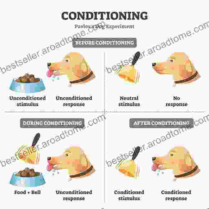 Classical Conditioning Diagram The Essentials Of Conditioning And Learning