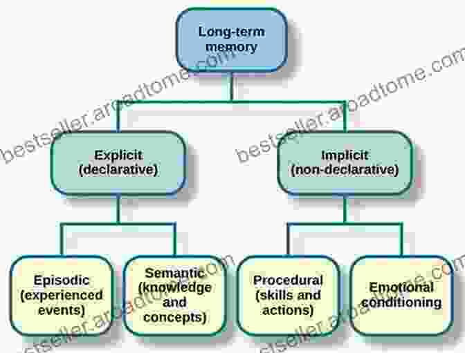 Cognitive Model Of Long Term Memory Cognitive Modeling In Perception And Memory: A Festschrift For Richard M Shiffrin (Psychology Press Festschrift Series)