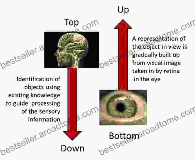 Cognitive Model Of Visual Perception Cognitive Modeling In Perception And Memory: A Festschrift For Richard M Shiffrin (Psychology Press Festschrift Series)