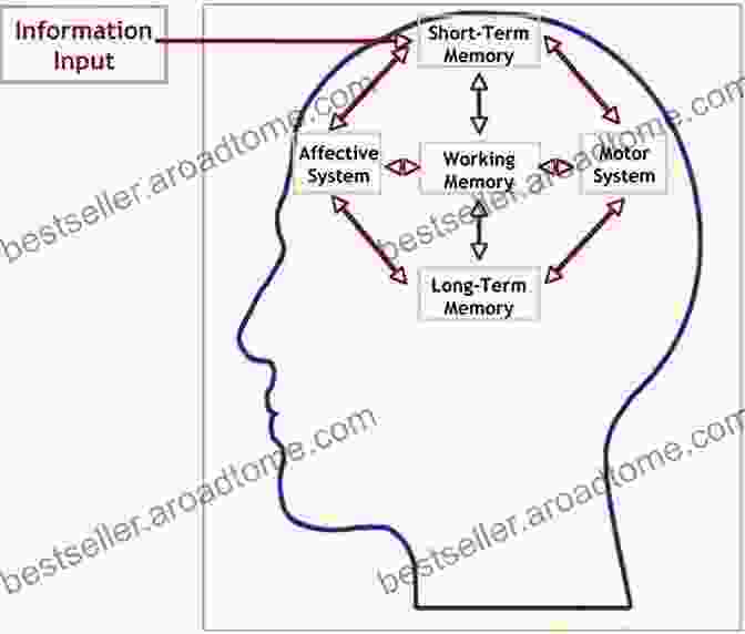 Cognitive Model Of Working Memory Cognitive Modeling In Perception And Memory: A Festschrift For Richard M Shiffrin (Psychology Press Festschrift Series)