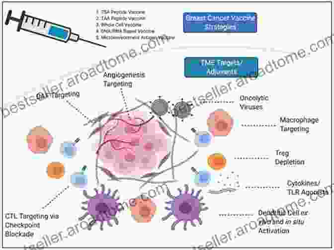 Diagram Illustrating The Mechanism Of Action Of Cancer Vaccines Cancer Vaccines (Current Topics In Microbiology And Immunology 405)