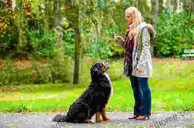 Dog Sitting Attentively Beside Their Owner During Obedience Training The Puppy Training Handbook: How To Raise The Dog Of Your Dreams