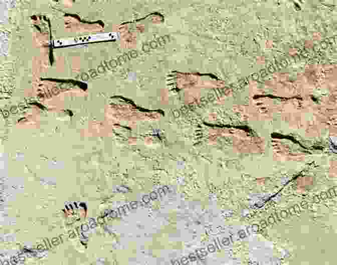 Footprints Of Ancient Humans In Search Of Our Ancient Ancestors: From The Big Bang To Modern Britain In Science And Myth