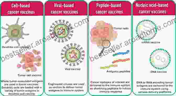 Graph Depicting The Clinical Applications Of Cancer Vaccines Cancer Vaccines (Current Topics In Microbiology And Immunology 405)