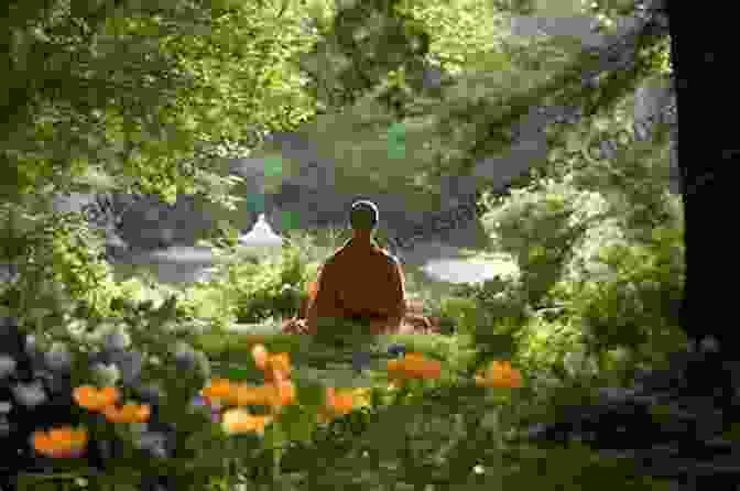 Image Of A Person Meditating In Nature, Surrounded By Lush Greenery, Conveying The Spiritual Connection And Wisdom That Can Be Found In The Plant Kingdom. Thus Spoke The Plant: A Remarkable Journey Of Groundbreaking Scientific Discoveries And Personal Encounters With Plants