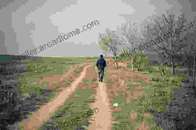 Image Of A Person Walking Alone On A Peaceful Path, Seeking Spiritual Fulfillment Perfect Motion: How Walking Makes Us Wiser