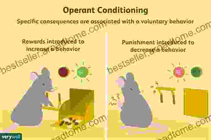 Operant Conditioning Diagram The Essentials Of Conditioning And Learning