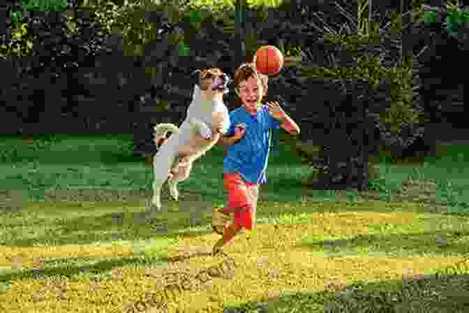 Smiling Family Playing With Their Dog In The Backyard The Puppy Training Handbook: How To Raise The Dog Of Your Dreams