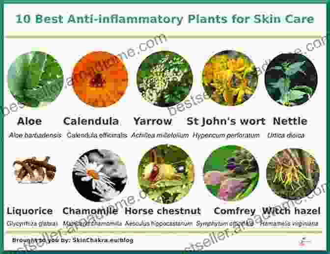 Spices And Herbs Known To Have Anti Inflammatory Properties Natural Cure For Arthritis: Pain Free: Gaining Your Life Back