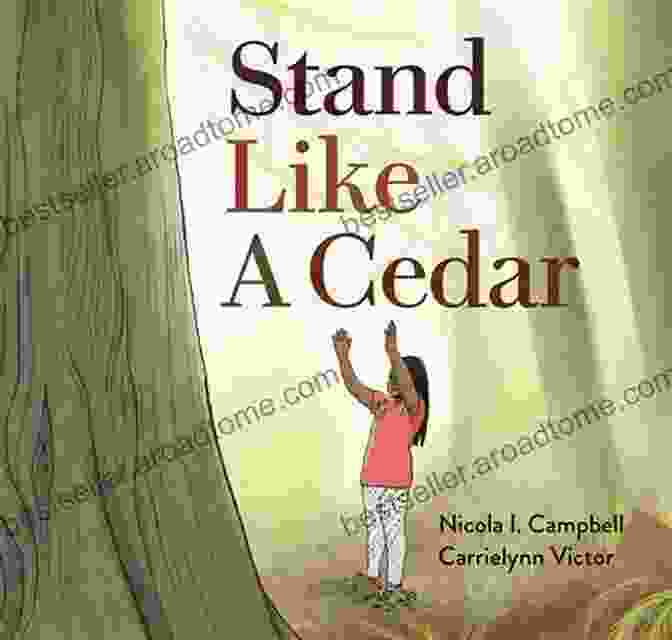 Stand Like A Cedar Book Cover, Featuring A Majestic Cedar Tree Against A Backdrop Of A Stormy Sunset. Stand Like A Cedar Sara Barnard