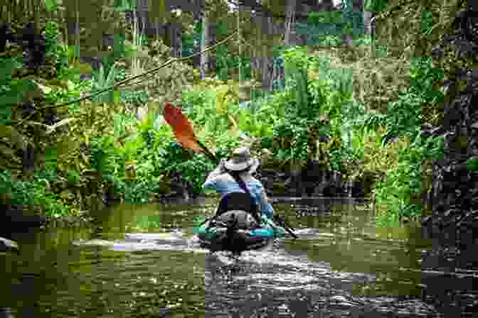 The Brazil Pack Go Girls Exploring The Rainforest Mystery Of The Lazy Loggerhead Brazil 2 (Pack N Go Girls Adventures)