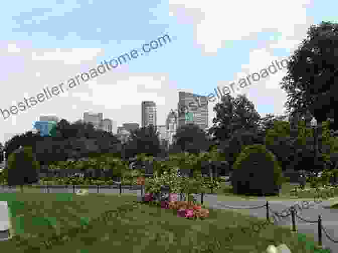 The Serene Boston Public Garden, A Verdant Oasis Amidst The Urban Landscape Downtown Boston Anthony Mitchell Sammarco