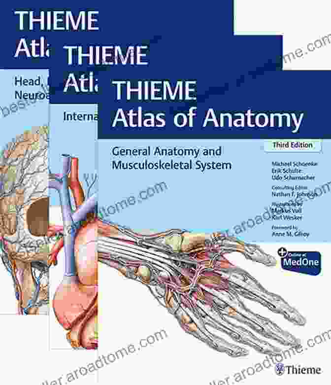 Thieme Atlas Of Anatomy: General Anatomy And Musculoskeletal System General Anatomy And Musculoskeletal System (THIEME Atlas Of Anatomy)