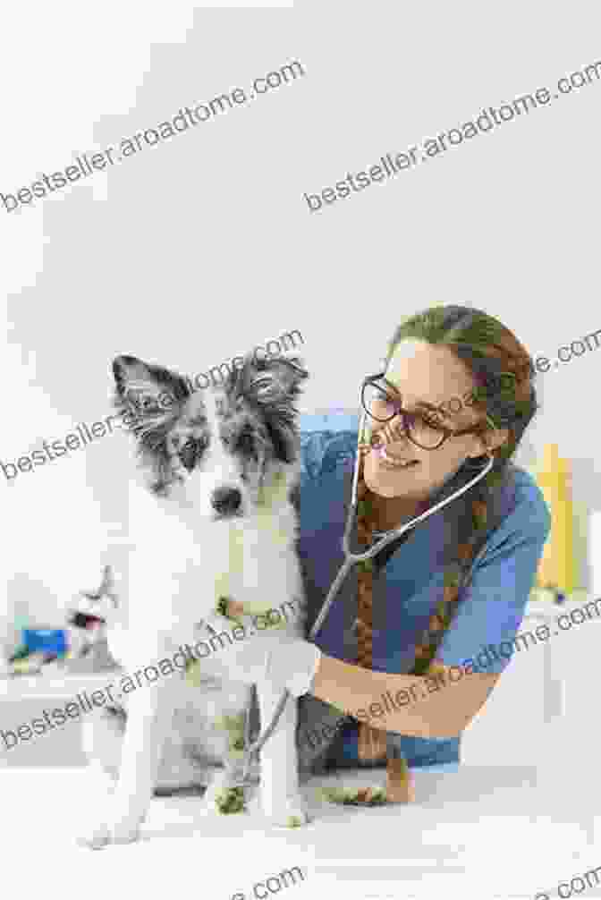 Veterinarian Examining A Healthy Dog With Stethoscope The Puppy Training Handbook: How To Raise The Dog Of Your Dreams