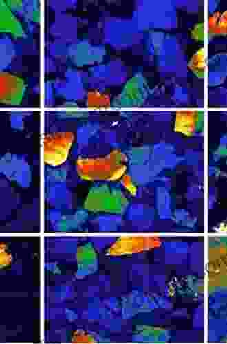 Application Of Cathodoluminescence Imaging To The Study Of Sedimentary Rocks