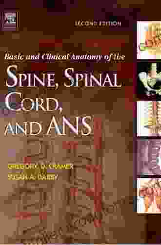 Basic And Clinical Anatomy Of The Spine Spinal Cord And ANS E