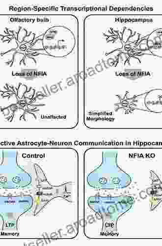 Astrocytes And Epilepsy Hans Werner Eichel