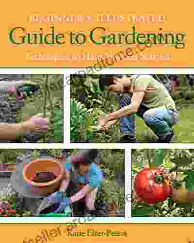 Beginner S Illustrated Guide To Gardening: Techniques To Help You Get Started