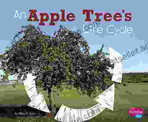 An Apple Tree S Life Cycle (Explore Life Cycles)