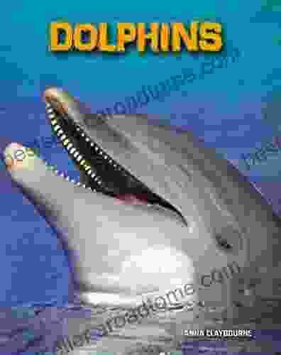 Dolphins (Living In The Wild: Sea Mammals)