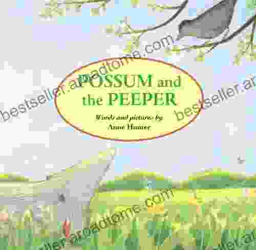 Possum And The Peeper Anne Hunter