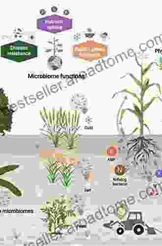 Essential Fish Biology: Diversity Structure And Function