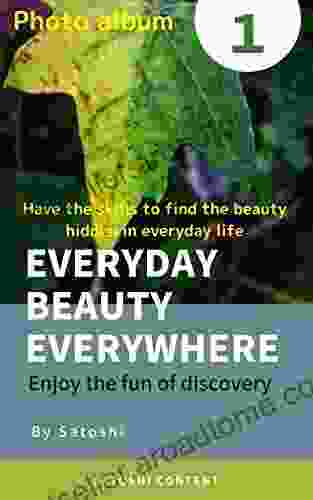 Everyday Beauty Everywhere 1: Enjoy The Fun Of Discovery