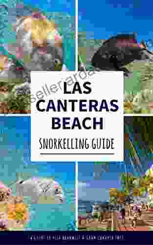 Las Canteras: Snorkelling Guide: Explore Gran Canaria S Top Underwater Spot Like A Local