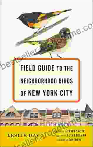 Field Guide To The Neighborhood Birds Of New York City