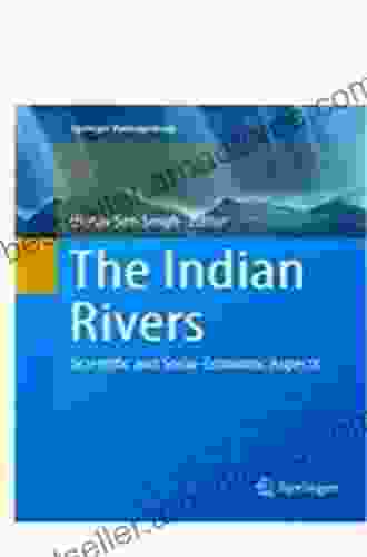 The Indian Rivers: Scientific And Socio Economic Aspects (Springer Hydrogeology)