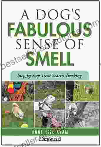 A Dog S Fabulous Sense Of Smell: Step By Step Treat Search Tracking