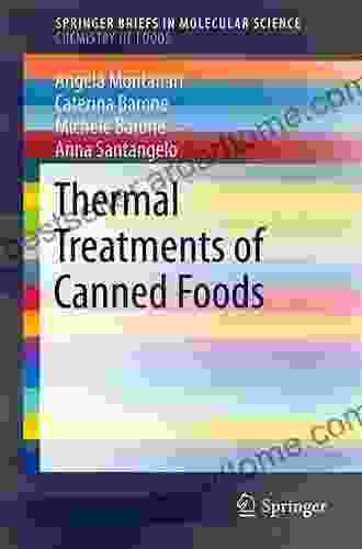 Thermal Treatments Of Canned Foods (SpringerBriefs In Molecular Science)