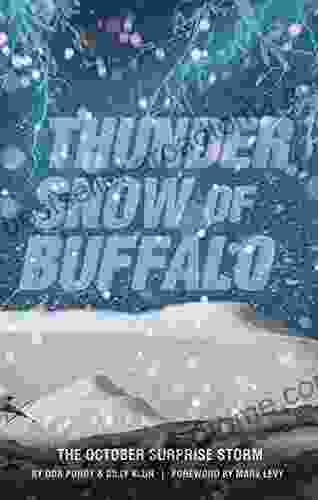 Thunder Snow Of Buffalo: The October Surprise Storm